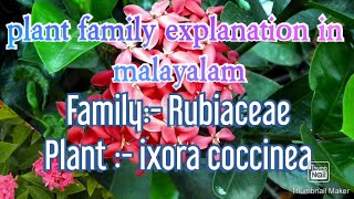 FAMILY RUBIACEAE family explanation in Malayalam using plants [upl. by Sellers142]