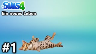 Sims 4 1 ES GEHT WIEDER LOS EIN NEUES LEBEN MIT HUND amp KATZE Spiel mit mir Games mit Kaan [upl. by Suirradal]