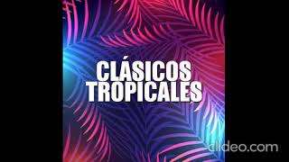 Mix Clasicos Tropicales  DJ Mathi Rolon [upl. by Hammel198]