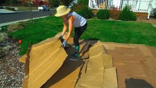 Convert Your Lawn by Sheet Mulching [upl. by Strauss]