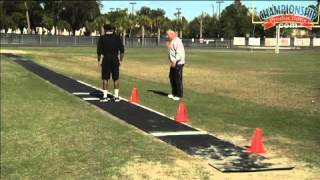 Develop Your Triple Jump using a Great Progression Workout [upl. by Schaffer]