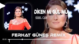 Sibel Can amp Eypio  Diken Mi Gül Mü  Ferhat Güneş Remix [upl. by Marcus16]