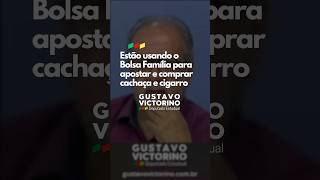 Transformaram o Bolsa Família em bolsa tigrinho bolsa cachaça e bolsa cigarro 📉🇧🇷 [upl. by Irakuy]