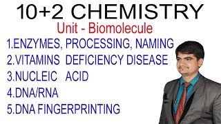 102 Chemistry ncert Biomolecule enzymes vitamins nucleic acid dna vs rna dna fingerprinting [upl. by Sev]