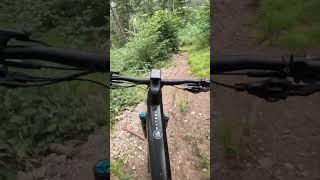 Steil ist geil  Traum Trails in Thusis🤩🤙 enduromtb mtb mountainbike mtblife short thusis [upl. by Lomax]