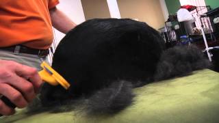 FURminator deShedding Tool for Dogs  A Petco Product Feature [upl. by Ahidam]