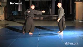 10 Tai sabaki directions Ninjutsu legwork [upl. by Yror218]