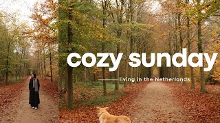 Life in the Netherlands Cozy November on a Sunday vlog [upl. by Ahse134]