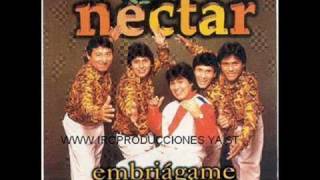 Corazoncito  Grupo Nectar [upl. by Rossner]