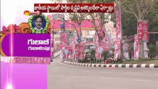 TRS plenary City to soak in pink hue [upl. by Adle]