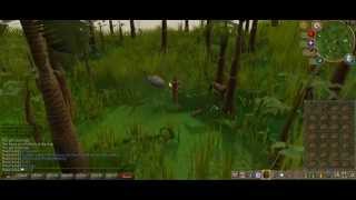 How to catch a barb tailed kebbit on runescape [upl. by Yssac88]