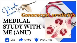 Gonococcal urethritisurogenital tract infection microbiology malayalam gonococcal urethritis [upl. by Prichard]