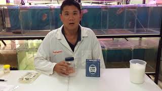 What salt is safe Fish Vets advice on using salt for freshwater fish in aquariums and ponds [upl. by Olram379]