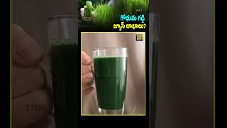 Wheatgrass Juice Your Daily Health Booster 🌿💚 wheatgrassbenefits superfood healthboost [upl. by Durnan]