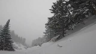 Jack Skiing  Top to BottomNorth Woods Cheyenne Gully Sublette Ridge  Jackson Hole Mountain Resort [upl. by Aremmat271]