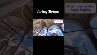 Blue Mosque In Istanbul Turkey shorts viralshorts ytshorts [upl. by Kinny]