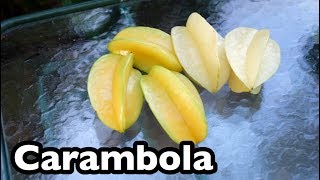 All About Carambola Star Fruit [upl. by Lladnik]