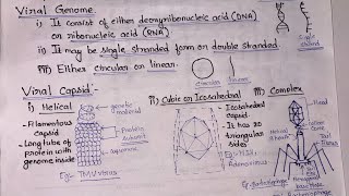 Viruses General features Replication Reproduction Lytic and Lysogenic Life Cycle  BSc Botany [upl. by Nadda805]