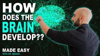 Embryology of the CNS Easy to Understand [upl. by Nolahc]