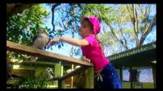 Featherdale Wildlife Park [upl. by Amein925]