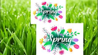 Spring Guessing Game What is It  English Portal [upl. by Baerman76]