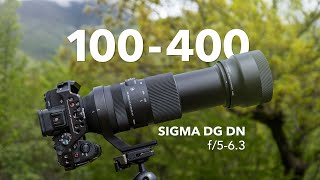 Sigma 100400mm Lens  Best Travel Telephoto Review for Full Frame amp APSC [upl. by Jolda]