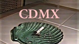 FRENCH POLICE  CDMX OFFICIAL VIDEO [upl. by Eenitsed768]