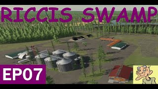 FS22 Riccis Swamp EP07 Poplar field created [upl. by Klingel]