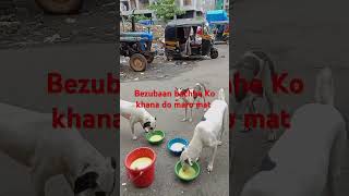 Bezubaan bachhe Ko khana do maro mat [upl. by Yelah563]