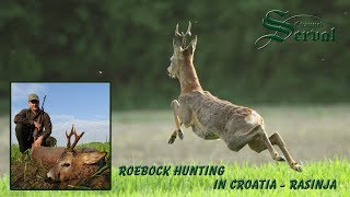 Roebock hunting in Croatia  Rasinja  Rehbockjagd in Kroatien [upl. by Yelrahc]