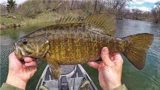 2019 MN Fishing Opener River Smallmouth [upl. by Ferullo]