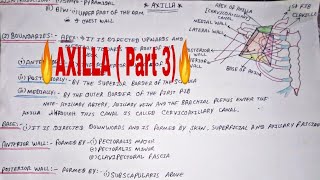 🔥AXILLA  Part 3🔥 upper limb contain [upl. by Jayme59]