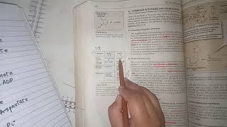 Pyrimidine Nucleotides synthesis and degradation part 1  Nucleotides Metabolism [upl. by Pinkham381]