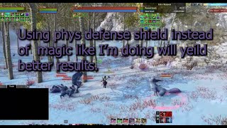 Garden R6 10min Tank Run 1hshield BRDefDanceSealResolver ArcheRage [upl. by Arayc88]