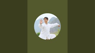 Medical QiGong TaiChi with Ping [upl. by Rbma]