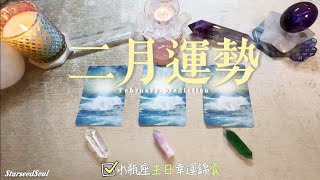 💚塔羅占卜 🌙二月運勢 ♒️水瓶座的生日錦囊愛情事業財富學業健康等方面的運勢預測 [upl. by Atniuq]