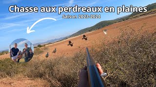 CHASSE AUX PERDREAUX EN PLAINES 4K [upl. by Nord]