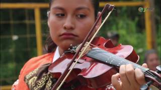 40° Feria Nacional del Mole San Pedro Atocpan [upl. by Onaicram]