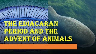 The Ediacaran Period and The First Animals [upl. by Nicholl]