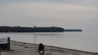 Extreme Low Pass By Two Boeing CH47 Chinook Flying Over Lake Erie [upl. by Andert930]