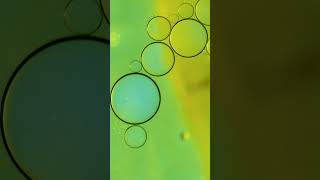 Coalescing Bubbles [upl. by Etienne190]