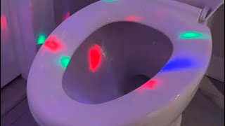 Disco Toilet 111524 [upl. by Myranda]