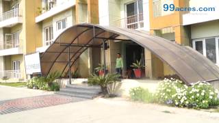 Omaxe Putting Greens  NRI City  Greater Noida  S13074 [upl. by Aronson]