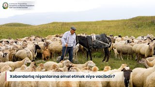 Xəbərdarlıq nişanlarına əməl etmək niyə vacibdir [upl. by Akina598]