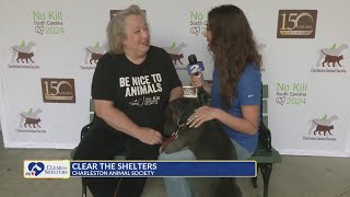 Clear the Shelters at Charleston Animal Society [upl. by Werdnaed]