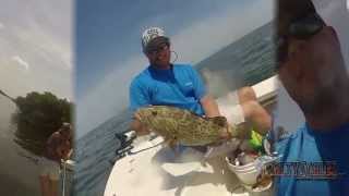 Tampa Bay Grouper amp Redfish From a 17ft Flats Boat [upl. by Roybn]