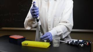 How to Use a Micropipette  SEP [upl. by Earal]