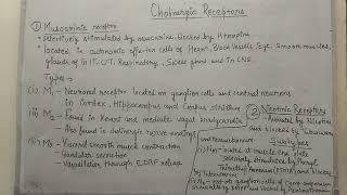 Muscarinic and nicotinic receptors [upl. by Dubois]