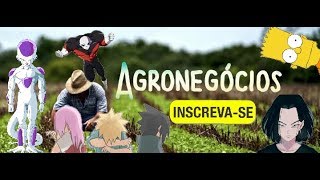 Vídeo Aula  Agronegócio Agricultura Subsídios Agrícolas 2º quotAquot [upl. by Rennie390]