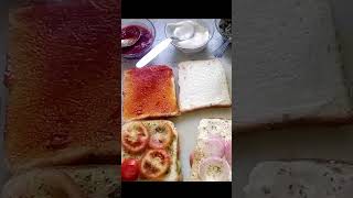 Instantly Pet Puja Ke Liye Sab Ka Favourite Veg Sandwich  Mystic Life With Shipra [upl. by Gove]